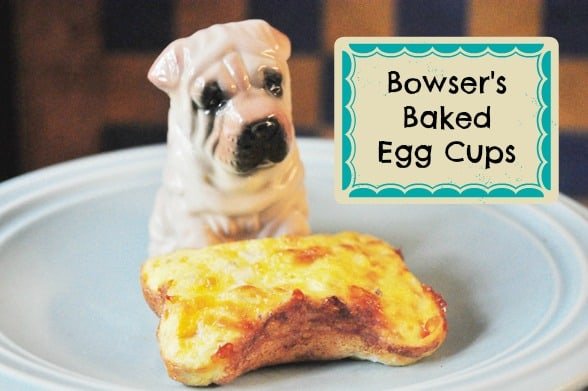 3 receitas fáceis de ovos para cães 🍳