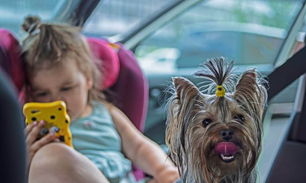 Uma criança e um cachorro morrem após serem deixados em um carro quente