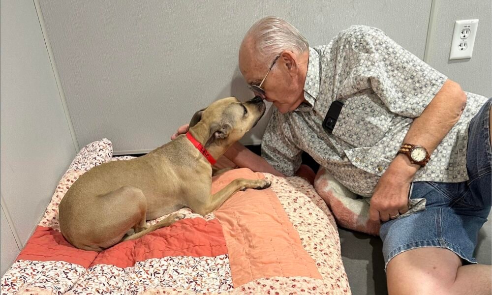 Cachorro tímido do abrigo da Flórida encontra o ‘casal perfeito’ bem a tempo para o Dia dos Namorados