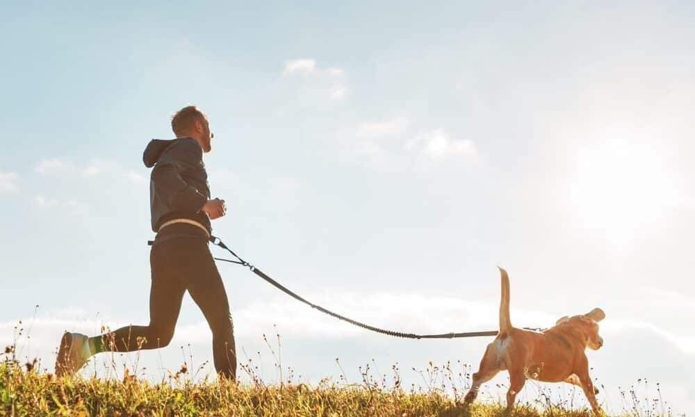 Fitness App Strava faz parceria com Fi Collar para ajudar a monitorar o condicionamento físico do seu cão