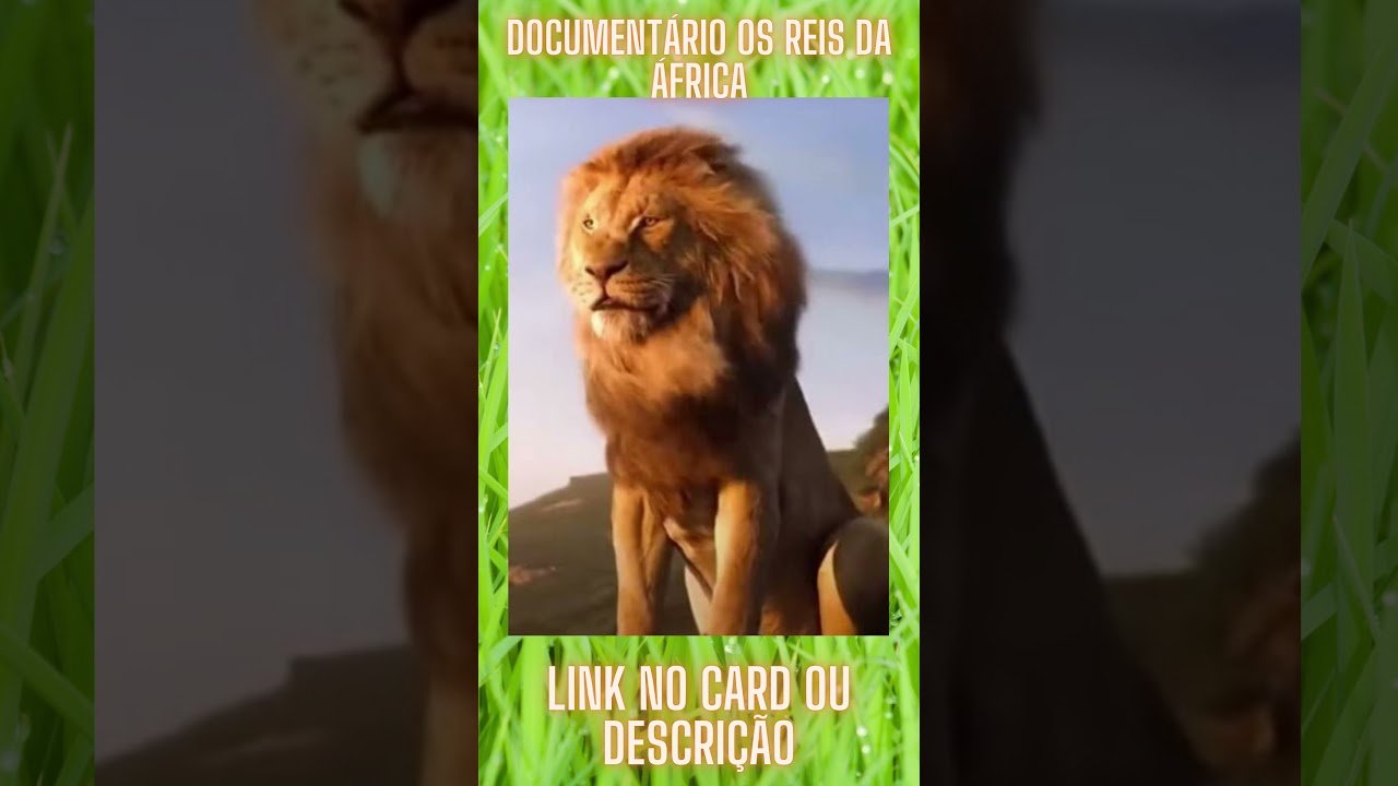 Veja o documentário Leões - Os Reis da África #shorts #pets #animaisengraçados